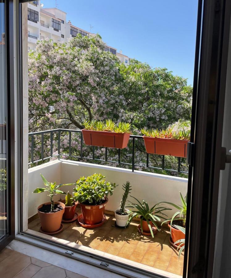 Bright, Modern & In Lagos, Algarve * Lagos