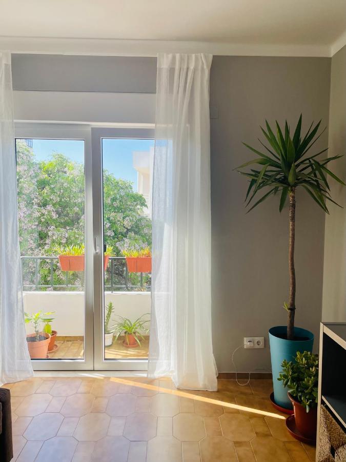 Apartment Bright, Modern & In Lagos, Algarve *
